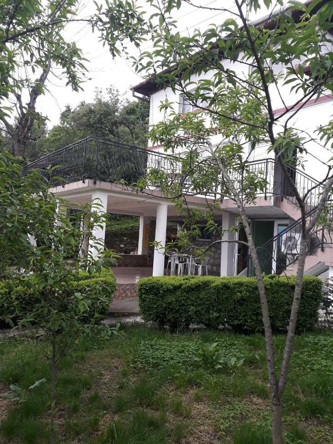 Casa Ade Apartamento Călimăneşti Exterior foto