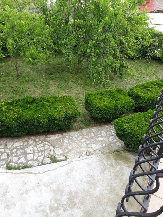 Casa Ade Apartamento Călimăneşti Exterior foto